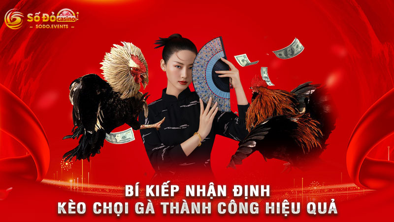 bí kiếp nhận định kèo chọi gà thành công hiệu quả