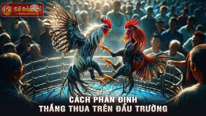 cách phân định thắng thua trên đấu trường
