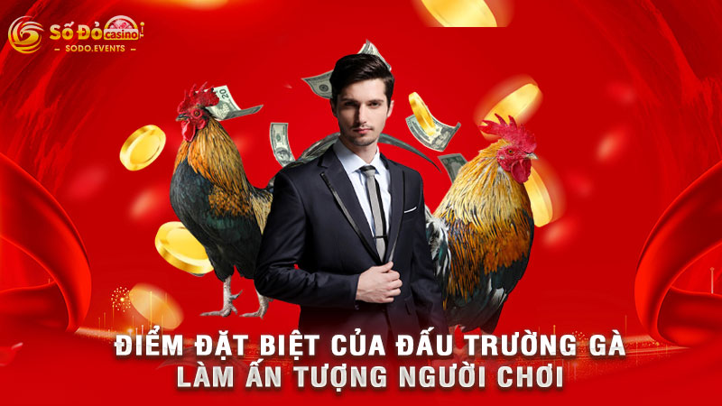 điểm đặt biệt của đấu trường gà làm ấn tượng người chơi