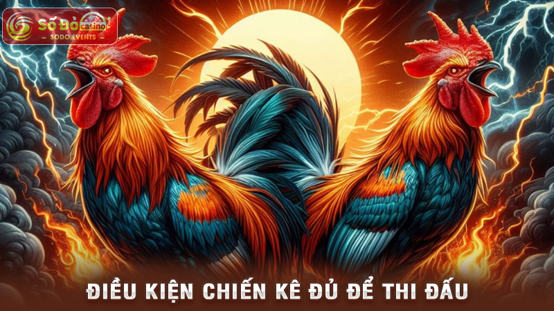 điều kiện chiến kê đủ để thi đấu