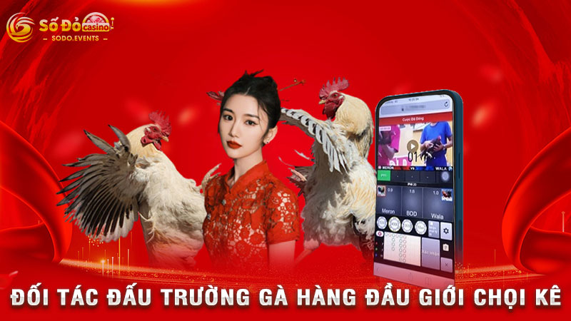 đối tác đấu trường gà hàng đầu giới chọi kê