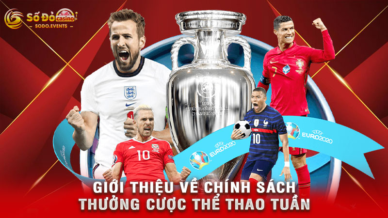 giới thiệu về chính sách thưởng cược thể thao tuần