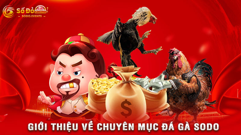 giới thiệu về chuyên mục đá gà sodo