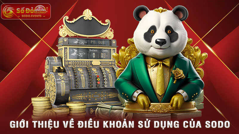 giới thiệu về điều khoản sử dụng của sodo