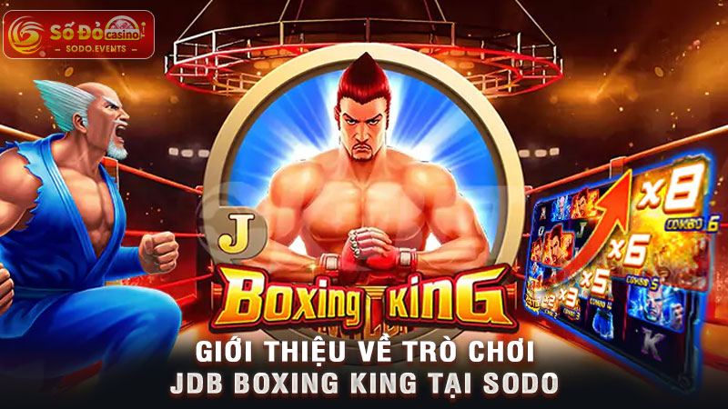 giới thiệu về trò chơi jdb boxing king tại sodo