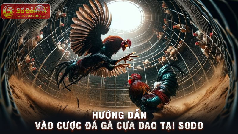 hướng dẫn vào cược đá gà cựa dao tại sodo