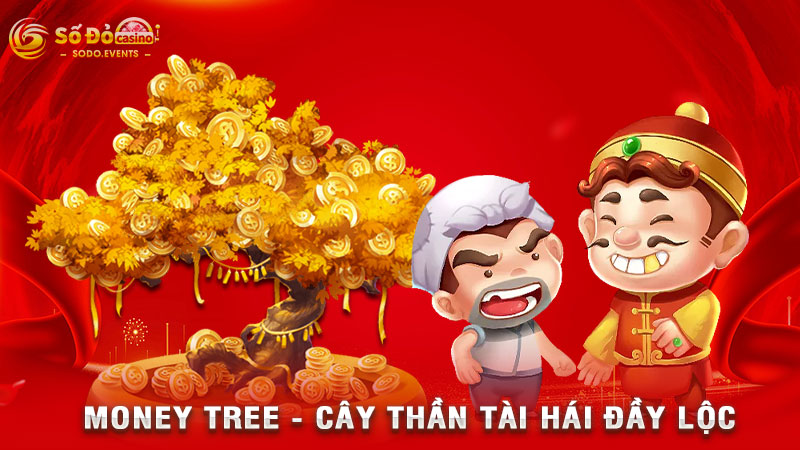 money tree - cây thần tài hái đầy lộc