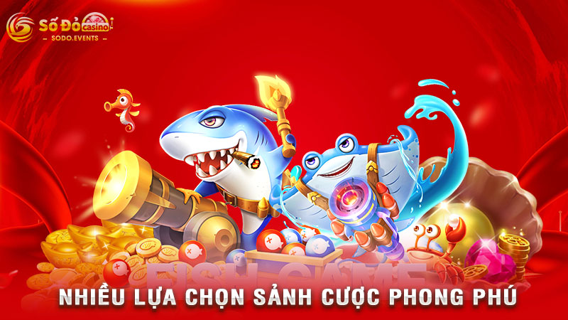 nhiều lựa chọn sảnh cược phong phú