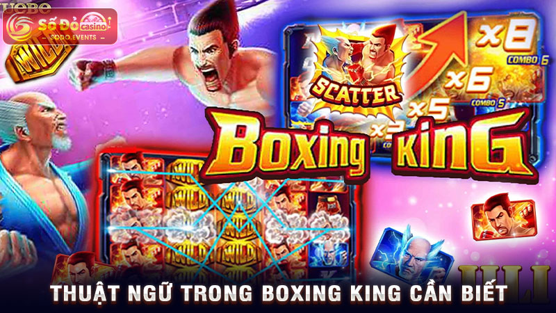 thuật ngữ trong boxing king cần biết