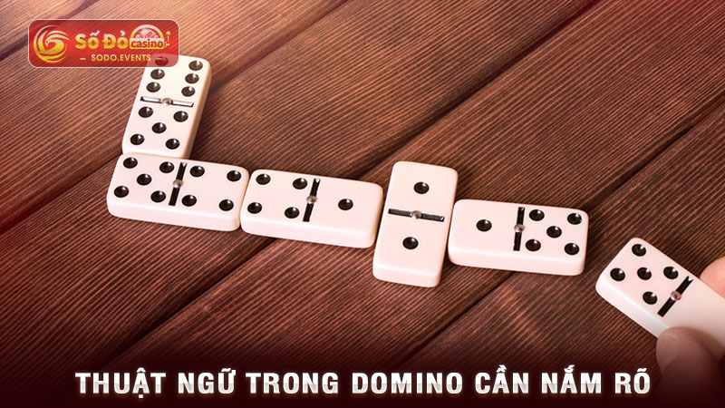 thuật ngữ trong domino cần nắm rõ