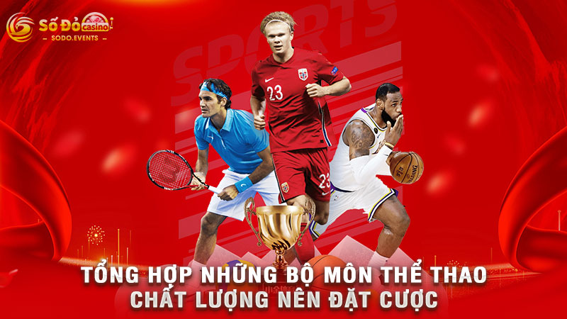 tổng hợp những bộ môn thể thao chất lượng nên đặt cược