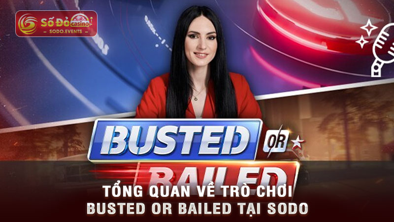 tổng quan về trò chơi busted or bailed tại sodo