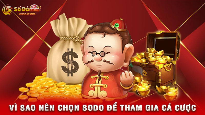 vì sao nên chọn sodo để tham gia cá cược