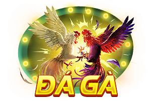 đ&aacute; g&agrave;